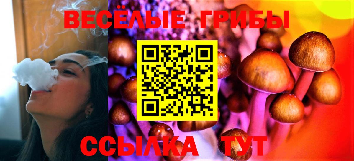 Галлюциногенные грибы Psilocybe  Галлюциногенные грибы GOLDEN TEACHER  купить   Аша  Вход с VPN 